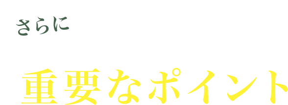 さらに知っておきたい重要なポイント